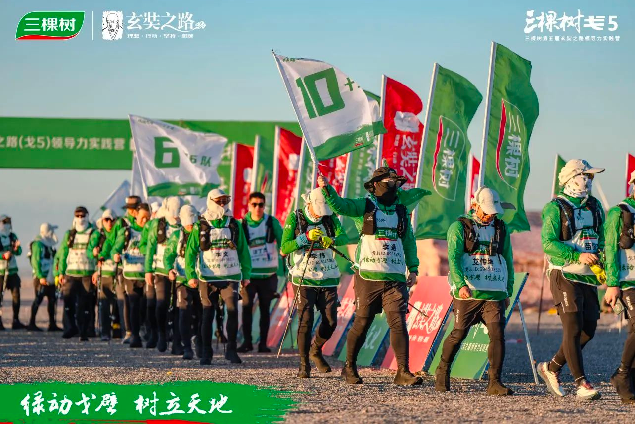 QQ图片20240909105628.png